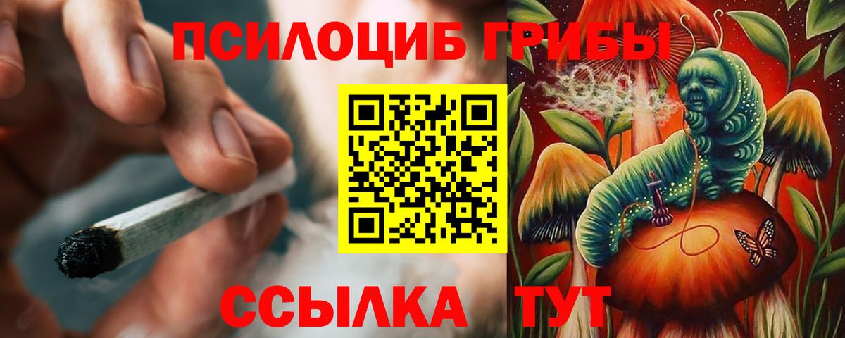 магазин  наркотиков  Псилоцибиновые грибы Magic Shrooms  Галлюциногенные грибы GOLDEN TEACHER  Вход с VPN  Чистополь 
