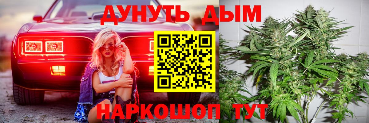 Канабис планчик  Канабис Ganja  Шишки марихуана конопля  Чистополь  МАРИХУАНА THC 21%  Вход с VPN 